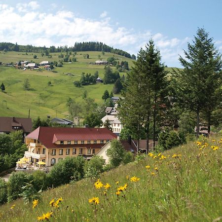 Gruener Baum Naturparkhotel & Schwarzwald-Restaurant Todtnau Exterior photo
