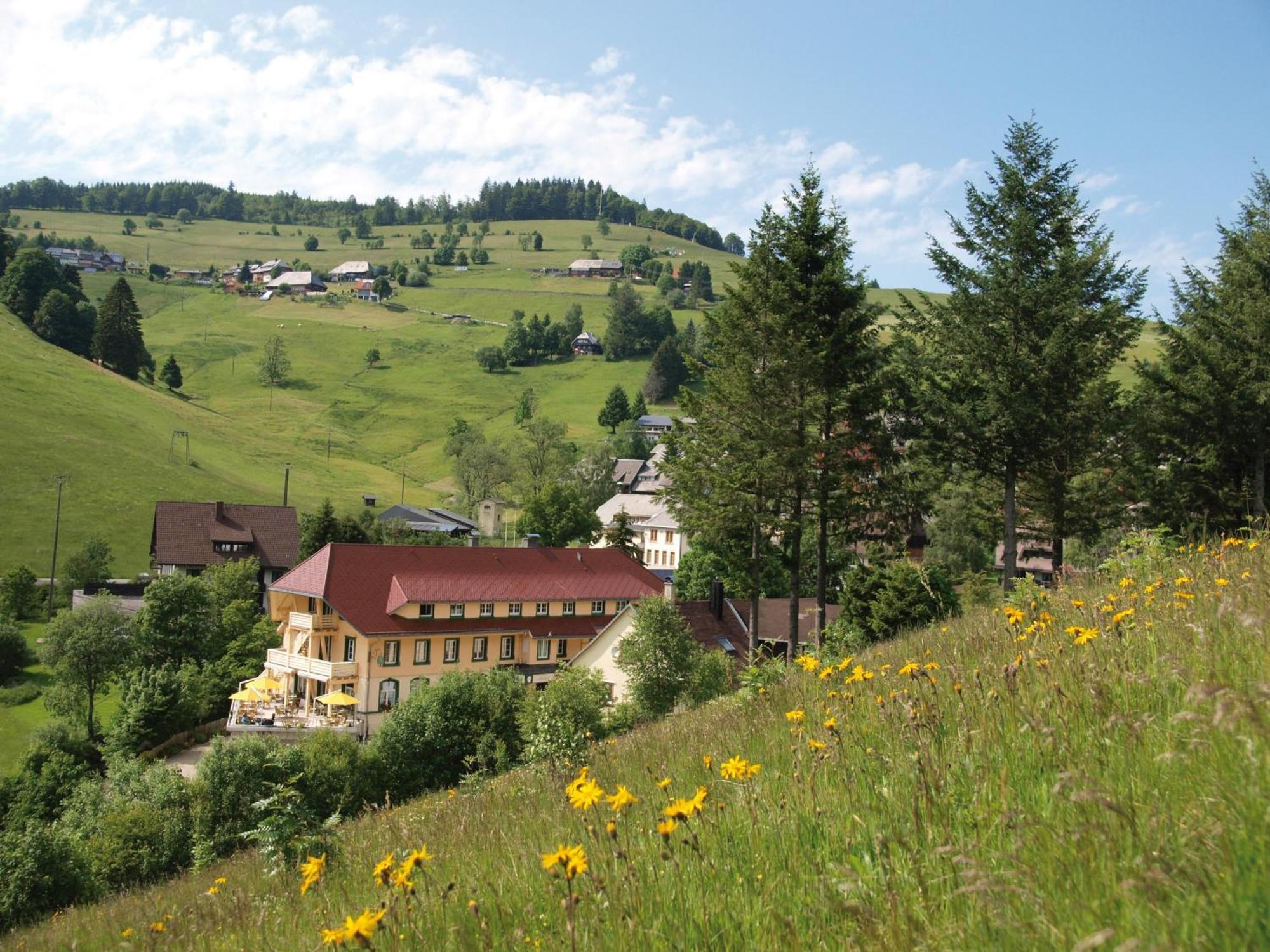 Gruener Baum Naturparkhotel & Schwarzwald-Restaurant Todtnau Exterior photo