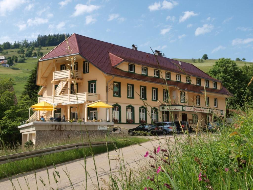 Gruener Baum Naturparkhotel & Schwarzwald-Restaurant Todtnau Exterior photo